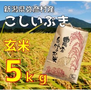 新潟県弥彦村石井農園 令和7年産 こしいぶき＜玄米 5kg＞ | 新潟県産