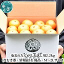 【ふるさと納税】【2025年先行予約】 奄美のたんかん お試し用 2.2kg 皮むき器 情報誌付 たんかん 果物 フルーツ 柑橘 奄美産 国産 数量 期間 限定 お試し みしょらんガイド 美味しい ジューシー しーま ふるさと納税 鹿児島 奄美市 おすすめ ランキング プレゼント ギフト