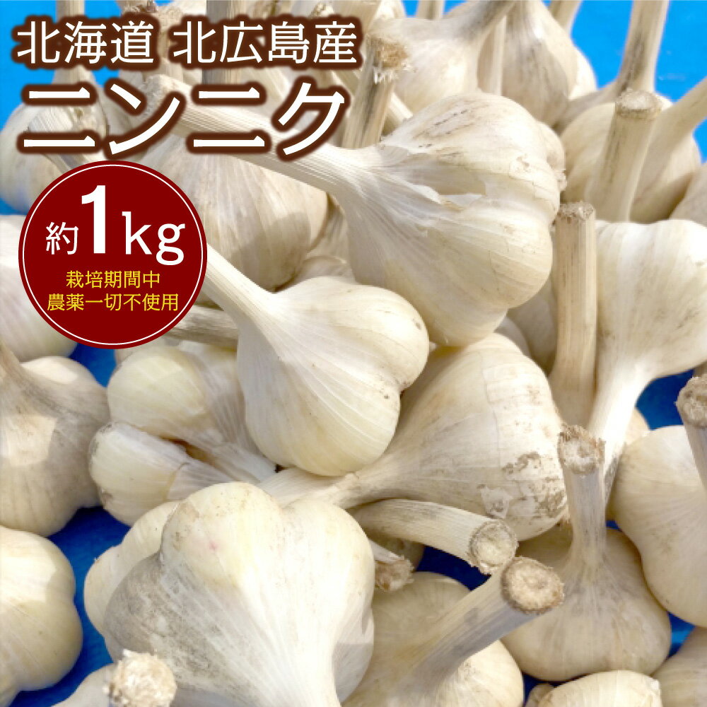 【ふるさと納税】【2025年8月上旬-2026年1月下旬発送予定】北海道 北広島産 ニンニク 約1kg 野菜 栽培期間中農薬不使用 にんにく 大蒜 アヒージョ 北海道 北広島市 常温 送料無料
