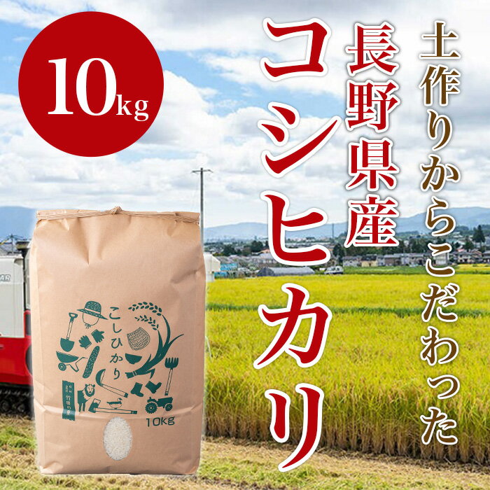 【ふるさと納税】米 コシヒカリ 1410 長野県産米コシヒカリ 10kg