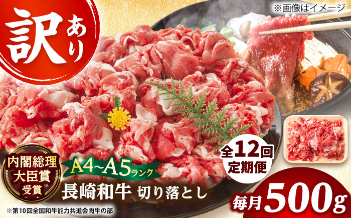 
            【全12回定期便】【訳あり】【A4～A5】長崎和牛焼肉切り落とし(肩ロース・バラ）　500g【株式会社 MEAT PLUS】 [DBS044]長崎和牛 和牛 国産 牛肉  長崎和牛 焼肉 切り落とし 肩ロース バラ 500g12回定期便 定期便 12回 訳あり 訳アリ
          