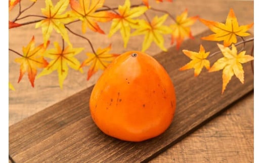 
                  八幡浜特産　家庭用　富士柿(ほぼ種無し)　5kg＜C56-36＞_ 訳あり わけあり 訳アリ 柿 かき 富士柿 種なし フルーツ くだもの 果物 青果 甘い 大玉 家庭用 不揃い 規格外 傷 数量限定 旬 期間限定 産地直送 産直 【1439748】
                