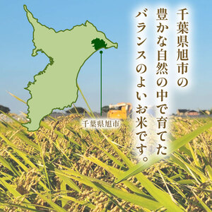 令和7年産 米 こしひかり 10kg 【 米 】