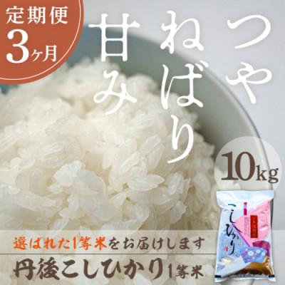 ふるさと納税 京丹後市 【毎月定期便】丹後こしひかり1等米10kg[5kg×2袋]全3回