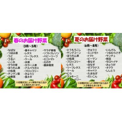 ふるさと納税 北上市 野菜セットB 10品 以上 |  | 01