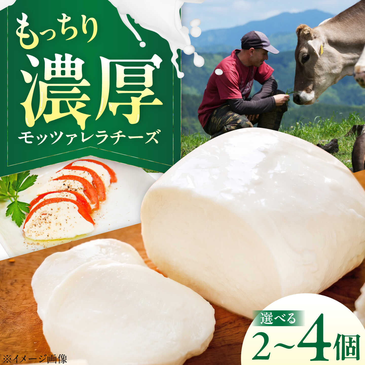 【ふるさと納税】【個数が選べる】山地放牧酪農ミルクのモッツァレラチーズ 2個・3個・4個セット/チーズ モッツアレラチーズ 愛媛県 伝統製法 おつまみ 乳製品/株式会社醍醐[BKAH006]