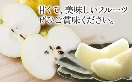 【先行予約】糖度計使用 梨詰め合わせ 5kg (約10個前後) なし 幸水 豊水 菊水 フルーツ くだもの ギフト プレゼント 贈答品 大分県産 九州産 中津市