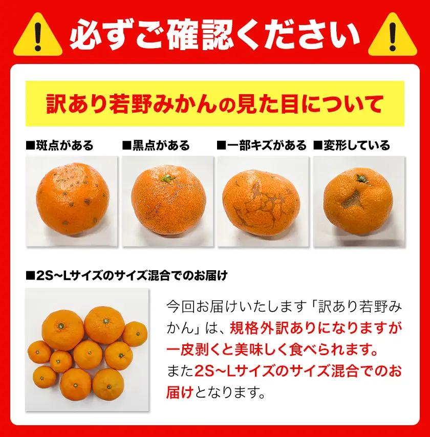 訳あり 若野みかん (2S～Lサイズ)  約3kg マルエイ農園