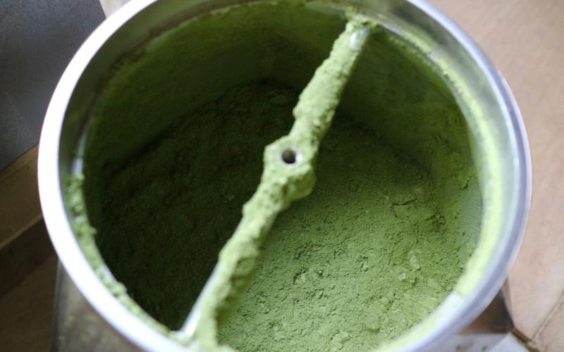 新芽のみを新鮮なうちに加工しているのでよもぎのグリーンが色鮮やか！
