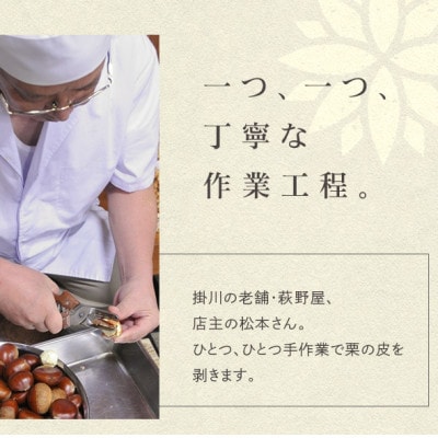 萩野屋 掛川栗の 栗きんとん 6個×3箱 計18個入【配送不可地域:離島・北海道・沖縄県・四国・九州】【1662792】