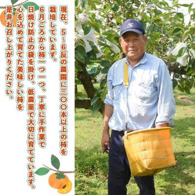 ふるさと納税 国富町 富有柿　3Lサイズ12個入り　4kg　宮崎県国富町 |  | 02