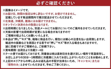 ぶどう 2024年 先行予約 果物 詰合せ 岡山 白桃 2玉 等級：ロイヤル（1玉260g以上） シャイン マスカット 晴王 1房 580g以上 もも 葡萄 岡山県産 国産 フルーツ 果物 ギフト