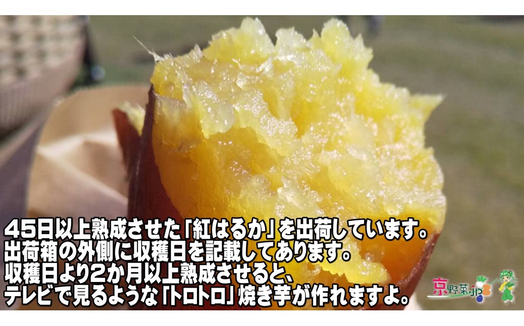 小さい紅はるか（京都産） 8kg