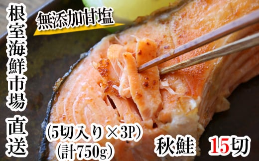 G-28038【年内配送可】  根室海鮮市場＜直送＞無添加甘塩天然秋鮭5切入×3P(計15切、約750g)