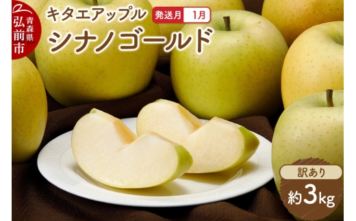 【27年1月発送】りんご シナノゴールド【訳あり】約3kg キタエアップル 青森県 弘前市 [先行予約 シナノゴールド りんご 訳あり 家庭用 アップル おいしい 果実 果物 黄色 美味 林檎]