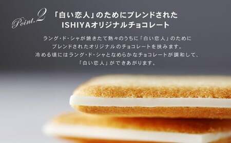 白い恋人 (ホワイト) 36枚(18枚入×2箱) ラングドシャ クッキー チョコ お菓子 おやつ 北海道 北広島市