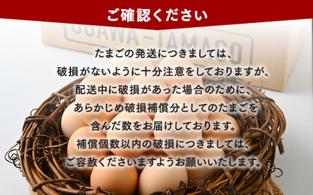 おがわのたまご  Mサイズ 30個(27個＋割れ補償3個)×9か月 | ｜たまご 【9ヶ月定期便】【毎月前半発送】
