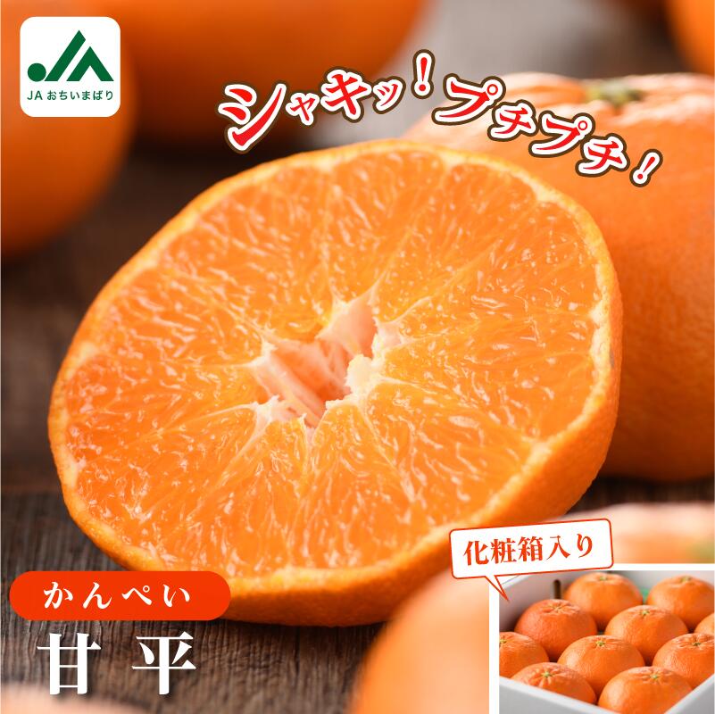 【ふるさと納税】【先行予約】＼超売れ筋商品／ 愛媛県 今治産 特選 甘平 2L～4L 8～12玉 国産 蜜柑 愛媛ミカン 高級フルーツ みかん 柑橘類 かんきつ類 果物 JA 贈答用 かんぺい 愛媛みかん ふるさと納税フルーツ 【 化粧箱付き 】【1月下旬から発送】【KC00640】