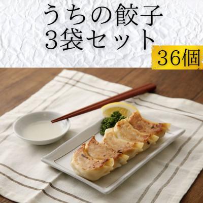 ふるさと納税 豊後大野市 【うちの餃子】冷凍餃子(大)3袋セット