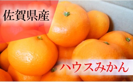 
            佐賀県産ハウスみかん1ｋｇ
          