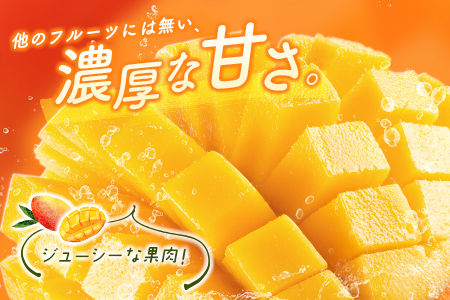 宮崎県産 完熟マンゴー＜2L×2玉 (計700g以上) ＞化粧箱入 フルーツ くだもの 国産【C355-25】