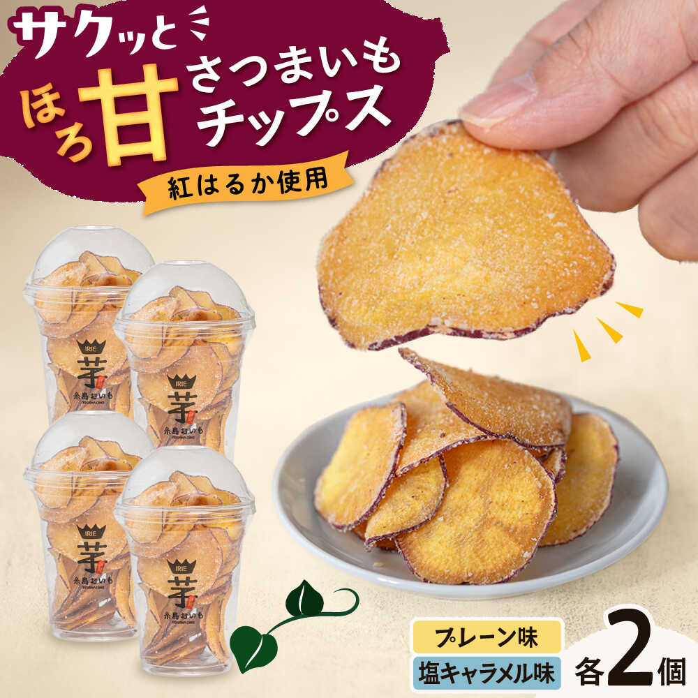【ふるさと納税】入江農園 さつまいもチップス（プレーン味・塩キャラメル味 各2個）4個入り 糸島市 / いとのKIKORI[AFR004] 9000円 9千円