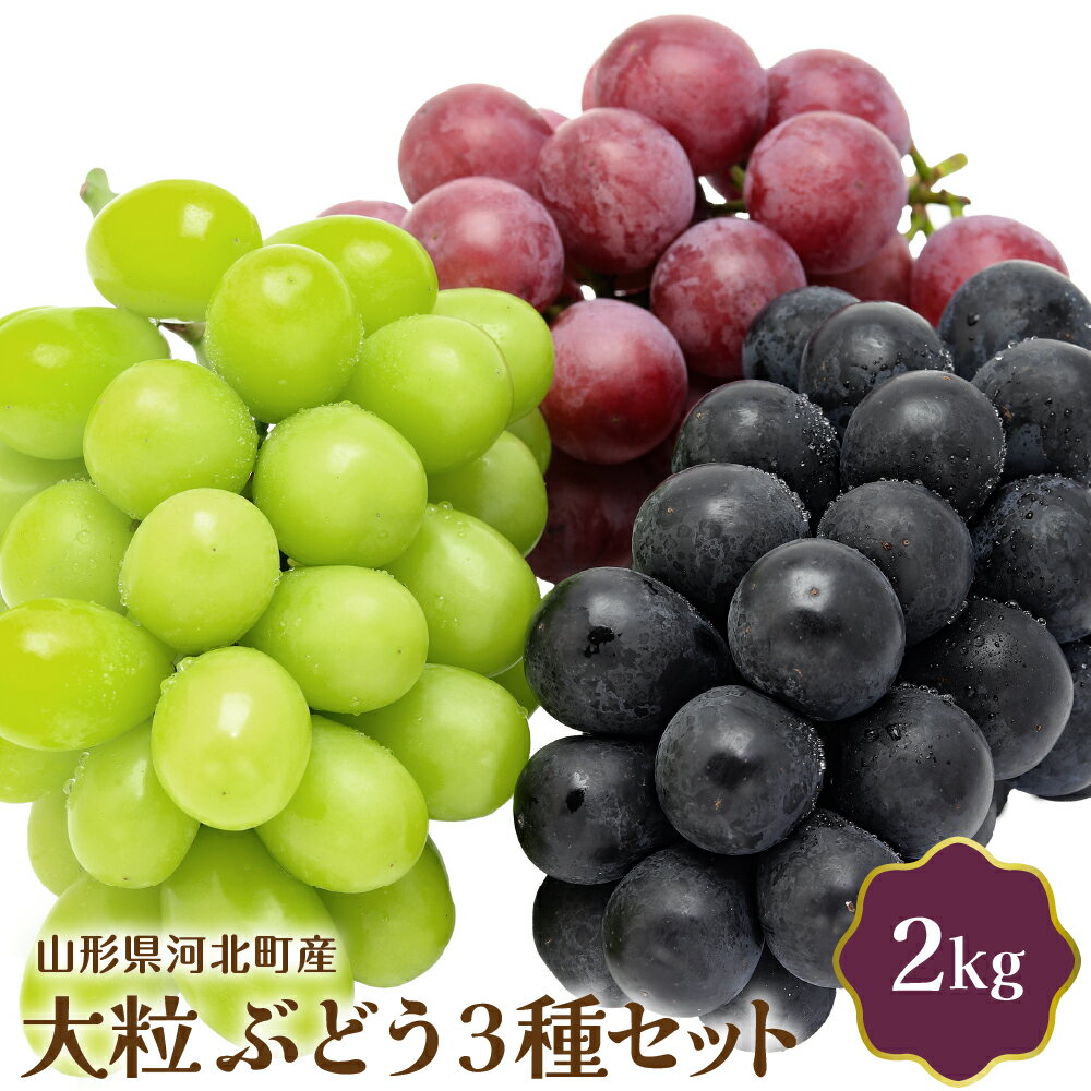 【ふるさと納税】【令和7年産】 大粒 ぶどう 3種 セット 2kg 国産 マスカット 緑 赤 黒 ぶどう ブドウ 葡萄 常温便 フルーツ 果物 果肉 青果 お取り寄せ 東北 山形県 河北町 【JAさがえ西村山】