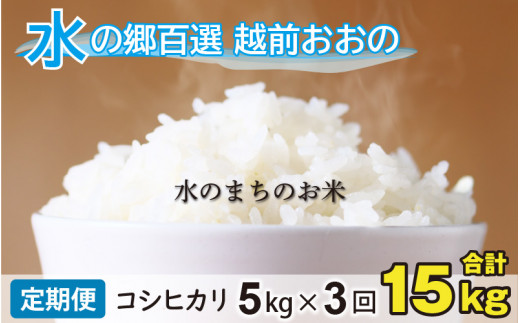 【令和7年産】【3ヶ月定期便】こしひかり 5kg×3回 計15ｋg【白米】「エコファーマー米」水のまちのお米