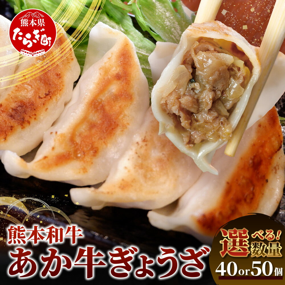 【ふるさと納税】熊本和牛 あか牛 ぎょうざ 40個 (20個入り×2) / 50個(1袋) 餃子 ぎょうざ ギョーザ 熊本県 和牛 あか牛 冷凍 生餃子 ぎょうざ おかず 総菜 お弁当 送料無料
