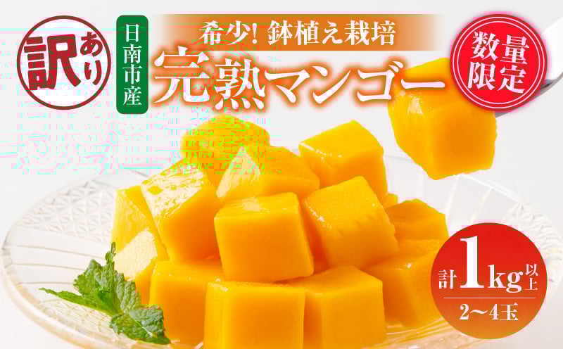 
                  訳あり 数量限定 希少 完熟 マンゴー 鉢植え栽培 計1kg以上 期間限定 くだもの 果物 フルーツ 不揃い 糖度13度以上 日南市産 国産 ご家庭用 食品 デザート おやつ 人気 おすすめ ご褒美 おすそ分け 産地直送 トロピカルフルーツ 冷蔵 宮崎県 送料無料_CB95-24
                