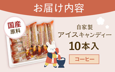 【手作りアイス】 コーヒー アイスキャンディー 10本入り 無香料 無着色 多治見市 / エイシン アイス 詰め合わせ 無添加 自家製[THD007]