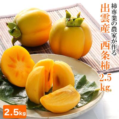 ふるさと納税 出雲市 【柿専業の農家が作る】出雲産西条柿　2.5kg【1_2-058】