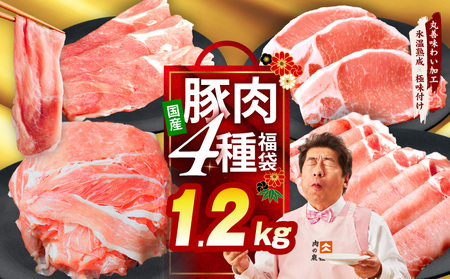 国産 豚肉 4種 総量 1.2kg 豚肉