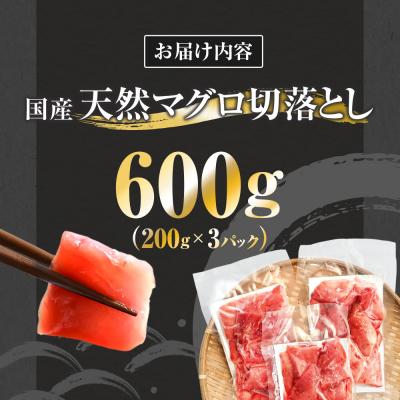 ふるさと納税 田野町 【四国一小さなまち】天然マグロ切り落とし 600g(冷凍) |  | 03