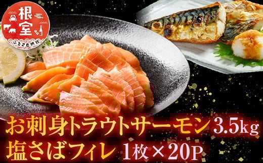 D-09020 お刺身トラウトサーモン3.5kg、塩さばフィレ1枚×20Ｐ