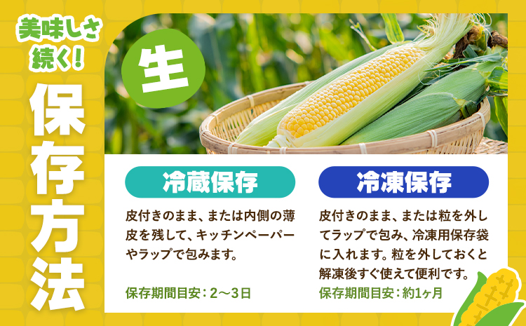 とうもろこし スイートコーン 10本 髙橋商店《2026年5月中旬-6月下旬頃出荷》熊本県 苓北町 野菜 コーン 玉蜀黍 コーンバター 焼きとうもろこし コーンスープ---reihoku_ths_6_