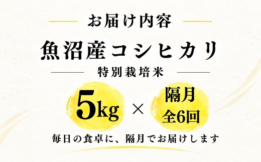 【隔月全6回 定期便】【令和8年産 コシヒカリ】魚沼産コシヒカリ 特別栽培米 5kg(5kg×1袋) | 新潟県産コシヒカリ 魚沼産こしひかり 米 お米 こしひかり 白米 精米 ブランド米 津南町 米