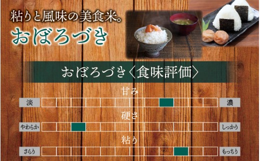新米 予約 令和8年度産 おぼろづき 5kg 白米 / 低農薬米 北海道 北竜町産 ※2026年10月中旬～順次発送【uni400-obo-r5-R8】