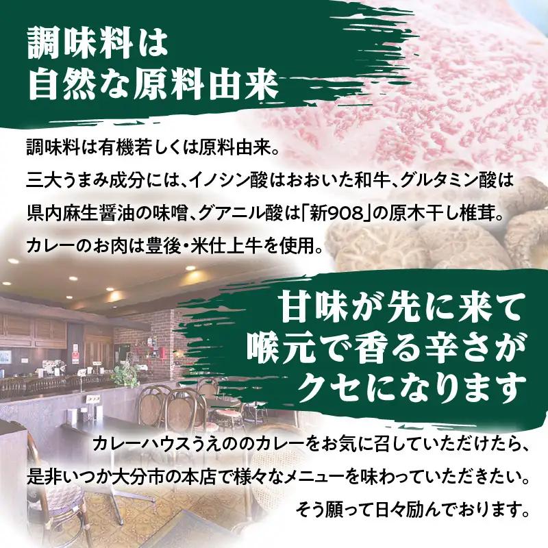 九州クラフト うえの焙煎ビーフカレー レトルト 5袋 K03043