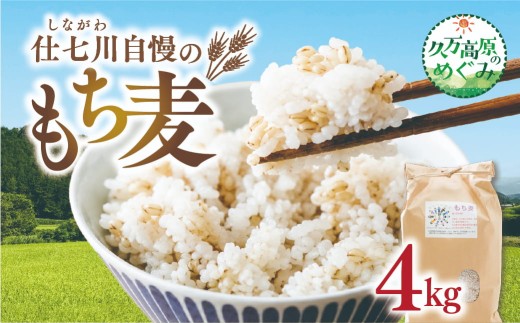 【先行予約】久万高原町 仕七川自慢 もち麦 4kg ｜ 雑穀 健康志向 腸活 食物繊維 ダイエット お取り寄せ 自然 愛媛県 仕七川地区の清流 ※2026年7月～発送