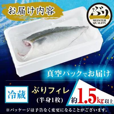 ふるさと納税 垂水市 【鹿児島産ぶり】 冷蔵 ぶり フィレ (半身1枚) 【アクアブルー】B2-4773 |  | 03