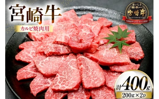 牛肉 宮崎牛 カルビ 焼肉用 200g 2p 計 400g [ローカルブランディング 宮崎県 日向市 452061415] 冷凍 小分け 黒毛和牛 黒毛 A4 A5 焼肉 焼き肉 BBQ  バーベキュー 国産
