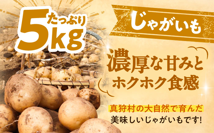 【2026年11月下旬以降発送】 秋の味覚セット（小）（じゃがいも5kg・旬の農産物詰め合わせ） | 野菜セット 野菜 詰合せ じゃがいも 季節の野菜 | 道の駅 真狩フラワーセンター [BPAM00