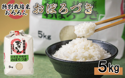 【令和5年産・お米】北海道羽幌産　特別栽培米おぼろづき5kg【08118】