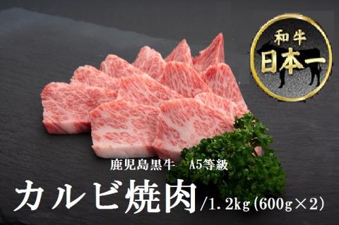 鹿児島黒牛 A5等級 カルビ焼肉　1.2kg