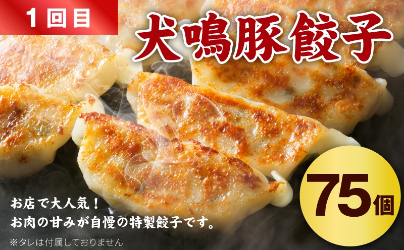 【泉佐野ブランド豚】犬鳴豚餃子 75個／手作りプレミアムハンバーグ（10個入り） 全2回【国産 豚肉 ぶたにく 定期便 食べ比べ 犬鳴ポーク 焼くだけ 人気 総菜 冷凍 大阪 泉佐野 大阪府 泉佐野市