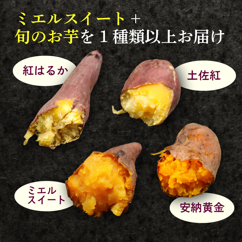 【新芋発送開始】 サツマイモ 詰め合わせ 5キロ ミエルスイート ＋1種類以上 安納黄金 紅はるか 土佐紅 焼き芋 焼いも 焼芋 やきいも 野菜 やさい 食品 人気 おすすめ 高知県 南国市