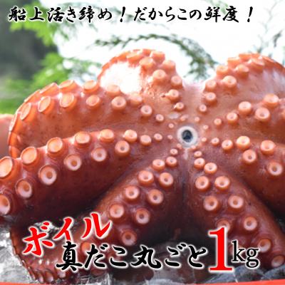 ふるさと納税 国東市 船上活き締め!ゆでたこ丸ごと約1kg(約1〜4杯)_1812R