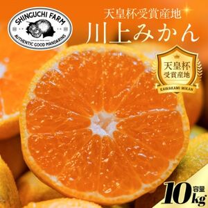 【天皇杯受賞産地】川上みかん 10kg【愛媛県八幡浜市】新口農園厳選【E70-126】【1684224】