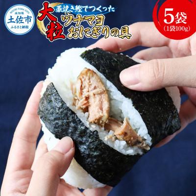 ふるさと納税 土佐市 鰹ツナパウチ 100g×5袋セット